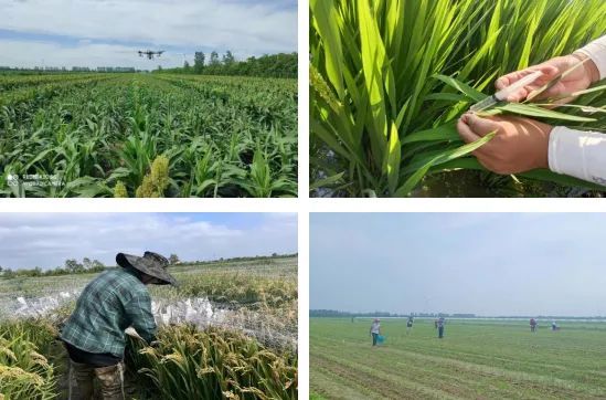 微信圖片_20231013095319.jpg 微信圖片_20231013095319.jpg